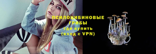 спиды Алзамай